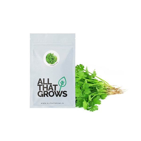 Coriander Seeds