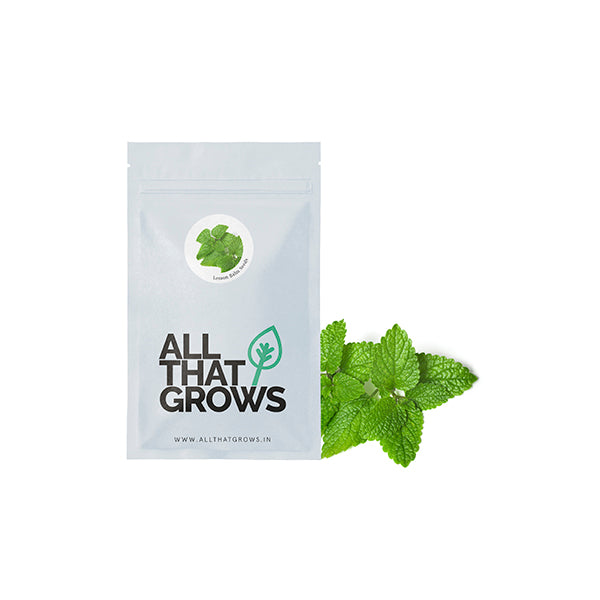 Lemon Balm Seeds