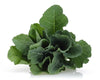 Kale Seeds