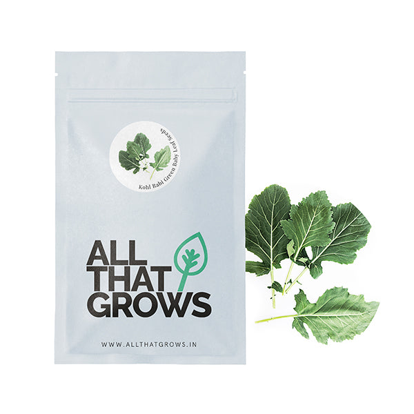 Kohlrabi Green Baby Leaf Seeds