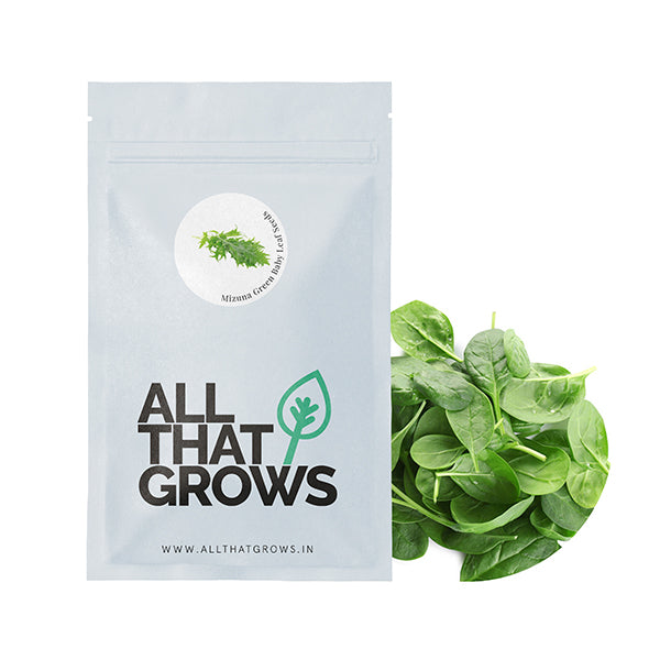 Komatsuna Baby Leaf Seeds