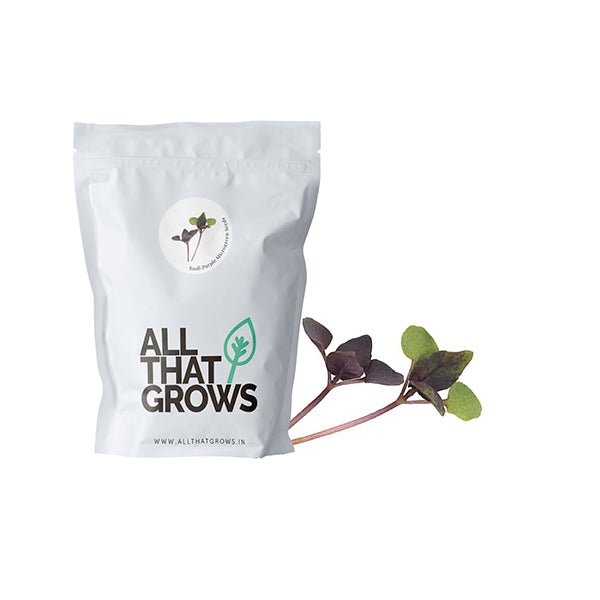 Basil Purple Microgreen Seeds