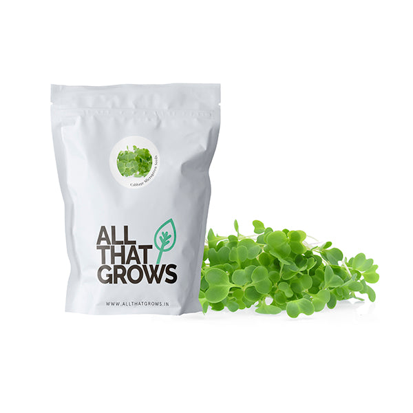 Cabbage Microgreen Seeds