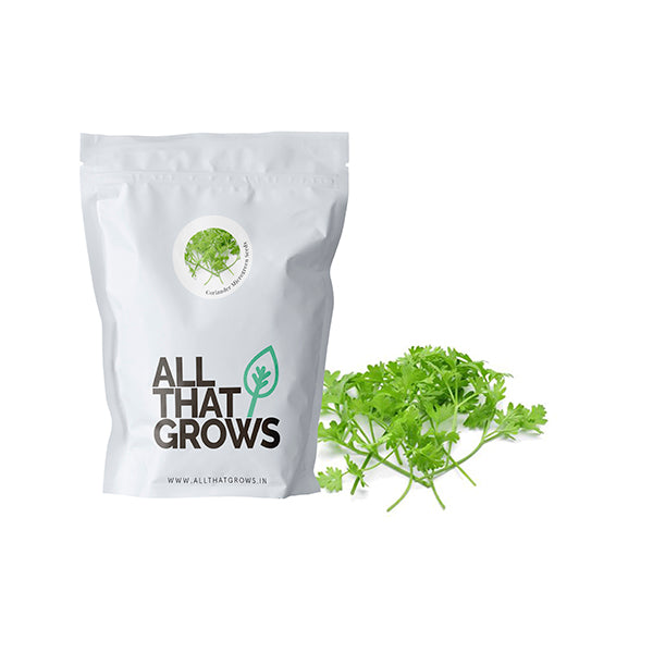 Coriander Microgreen Seeds