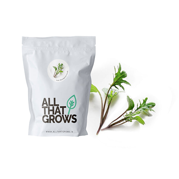 Kale Microgreen Seeds