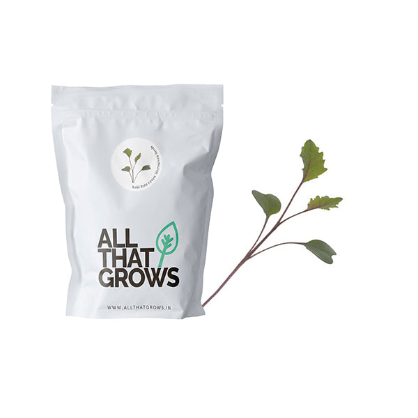 Kohl Rabi Purple Microgreen Seeds