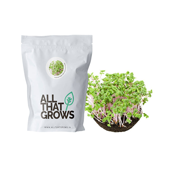 Radish Pink Microgreen Seeds