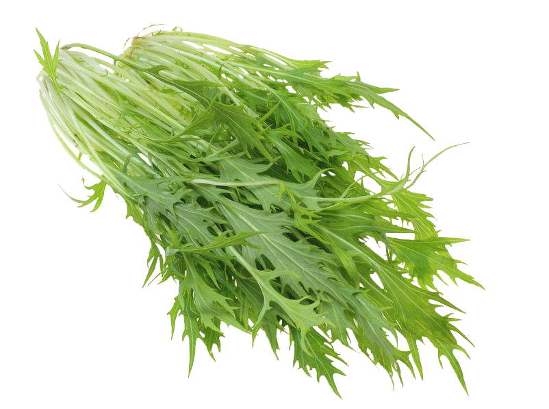 Mizuna Green Seeds
