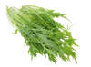 Mizuna Green Seeds