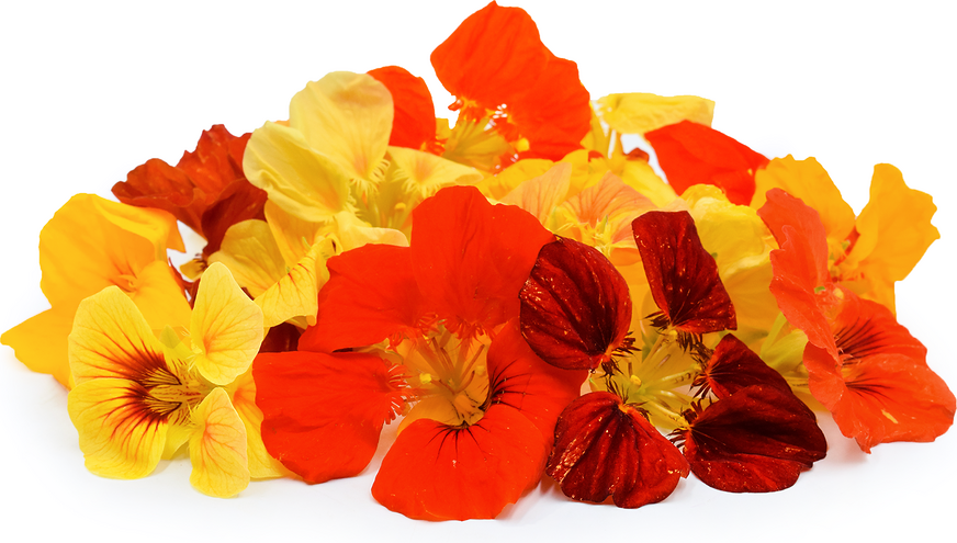 Everything you need to grow nasturtium at home
