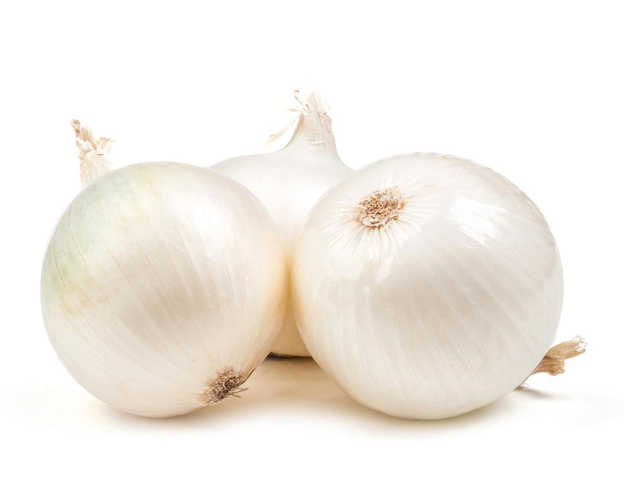 Onion White