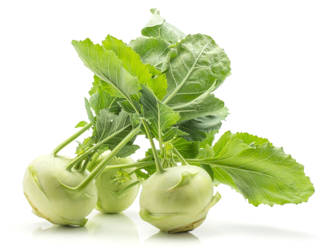 Koly Robi Buy Kohl Rabi Seeds | GMO-free Seeds at AllThatGrows