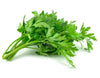 Parsley Seeds