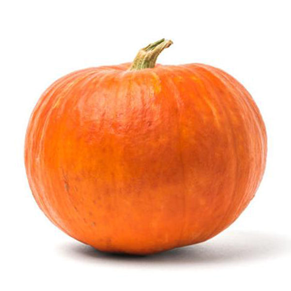 Pumpkin Halloween Seeds