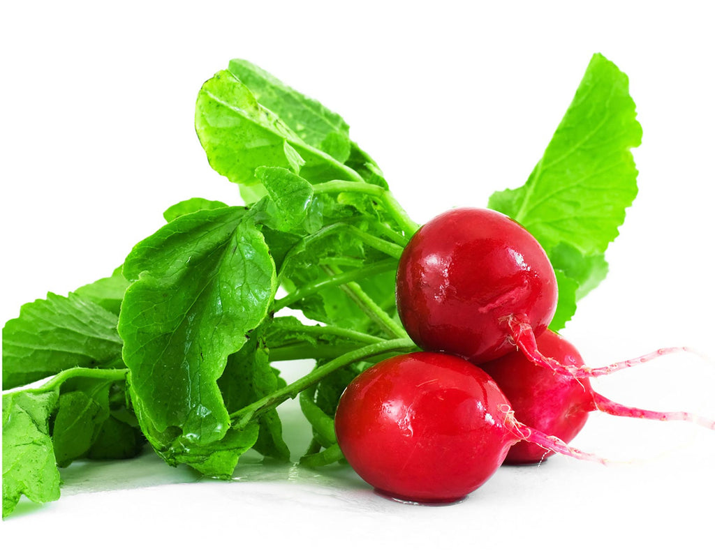 All Radish Varieties and Growing Supplies