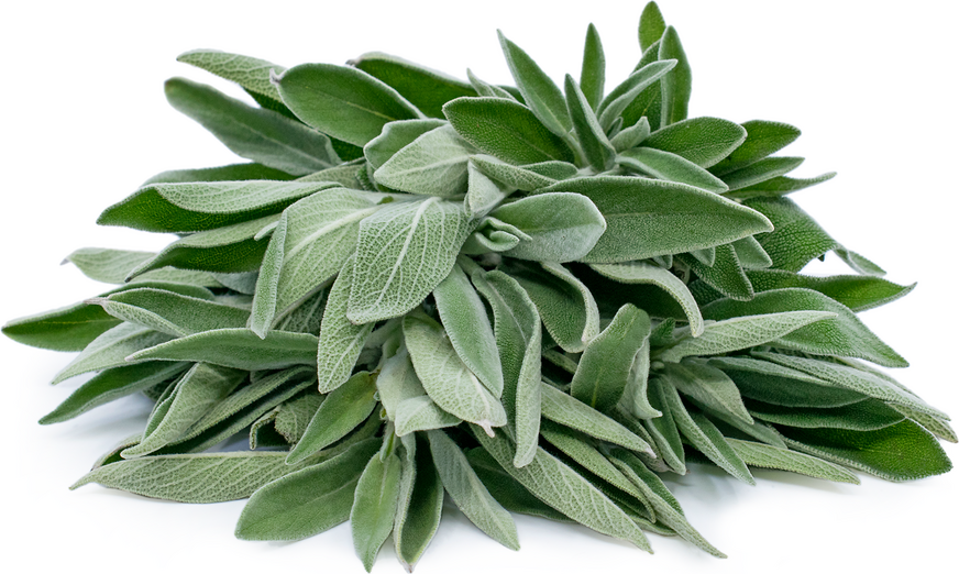 Sage