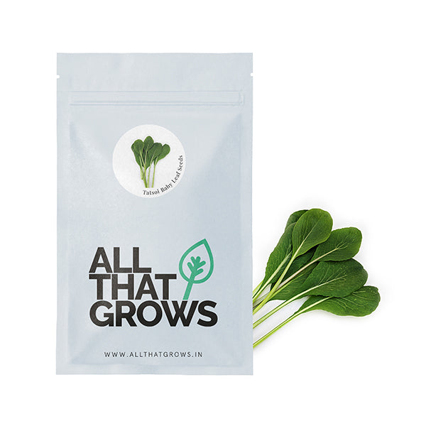 Tatsoi Baby Leaf Seeds