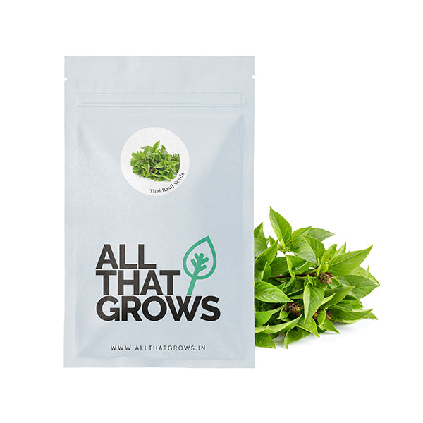 Thai Basil Seeds