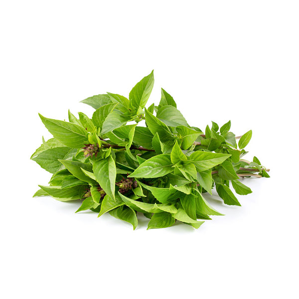 Thai Basil Seeds