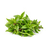 Thai Basil Seeds