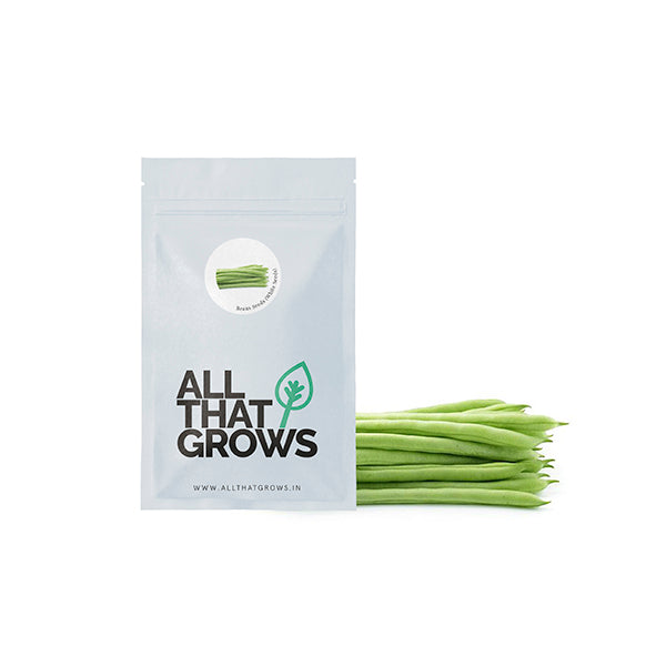 Beans Seeds (White Seeds)