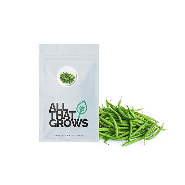 Blue Lake Pole Bean Seeds
