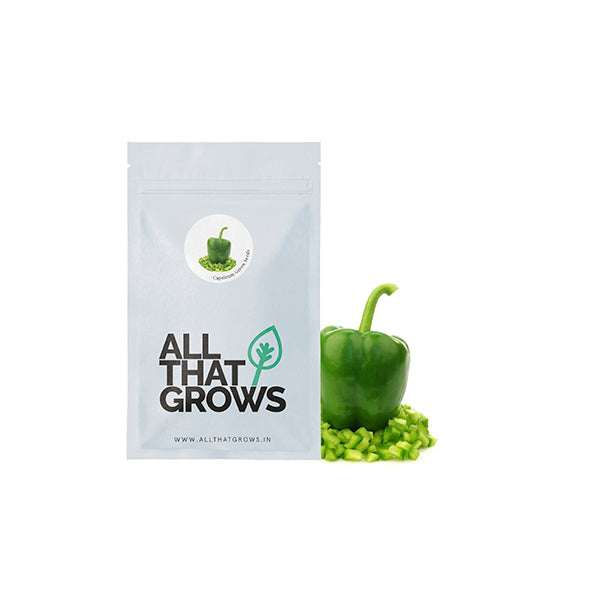Capsicum Green Seeds