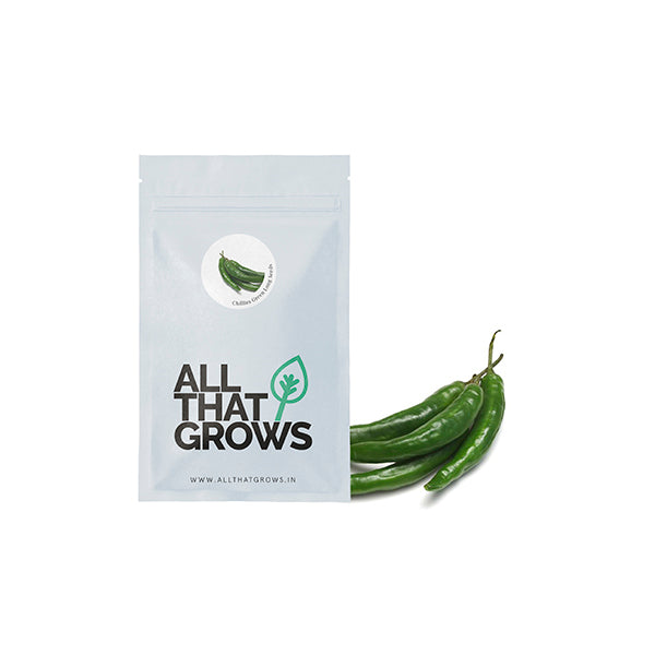 Chillies Green Long Seeds
