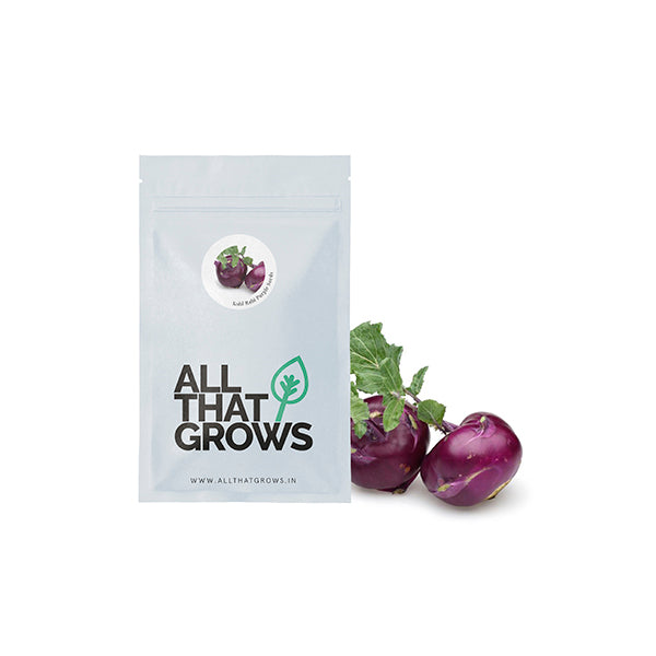 Kohl Rabi Purple Seeds