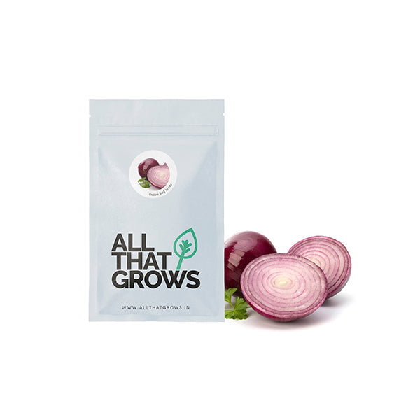 Onion Red Seeds