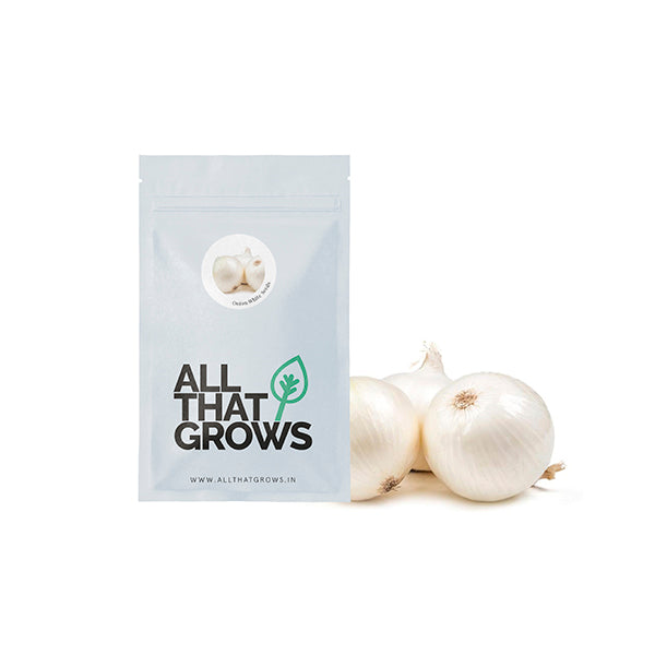 Onion White Seeds