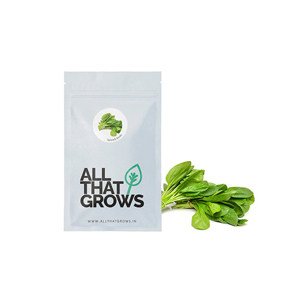 Spinach Seeds