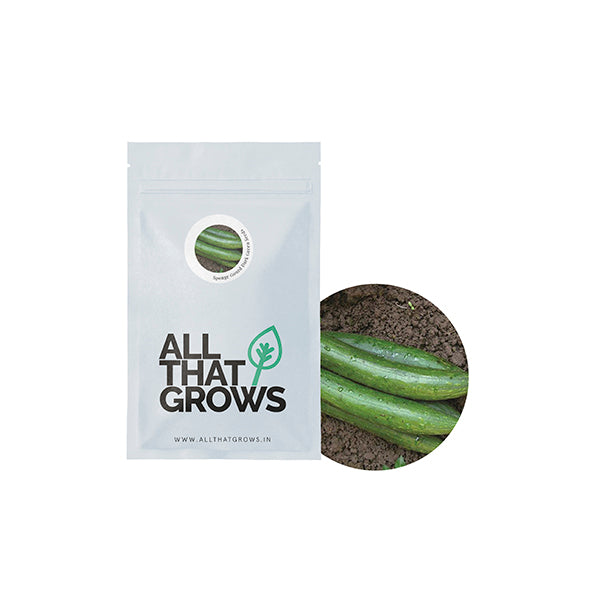 Sponge Gourd Dark Green Seeds