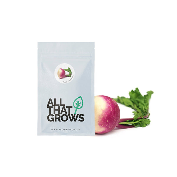 Turnip Purple Seeds