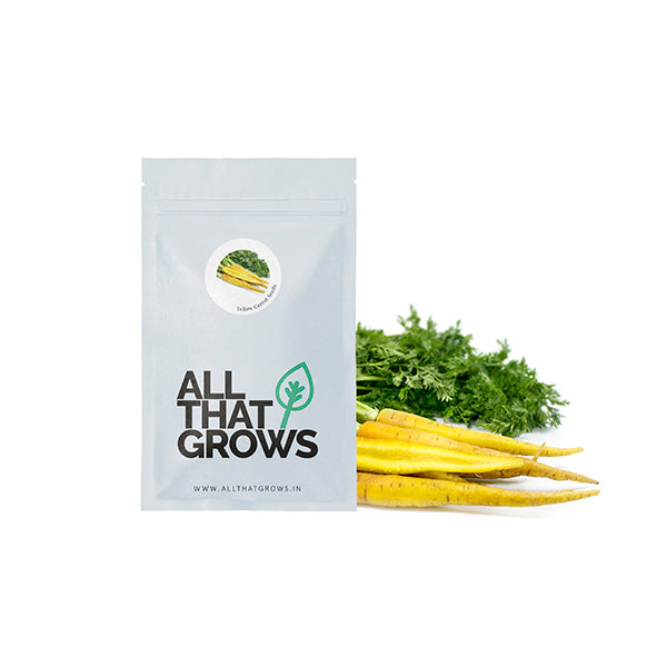 Yellow Carrot Seeds
