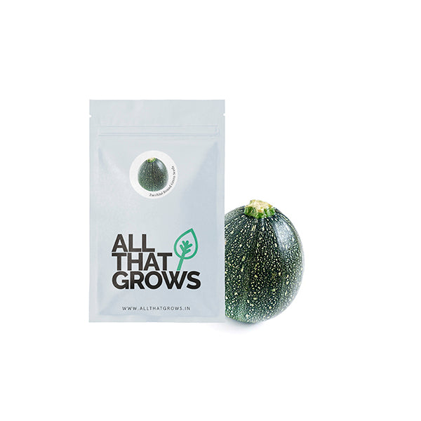 Zucchini Round Green Seeds