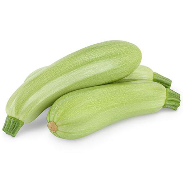 Zucchini Light Green Seeds