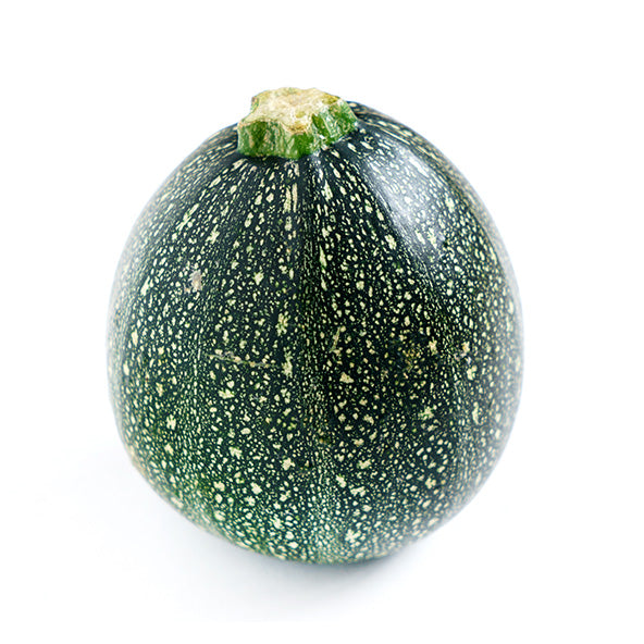 Zucchini Round Green Seeds