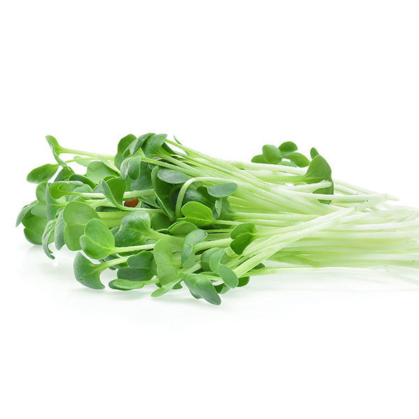 Microgreen Seeds