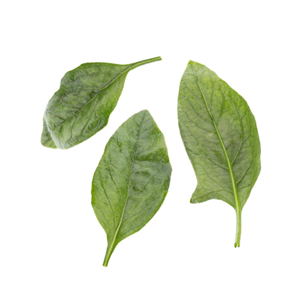 Baby Leaf Seeds