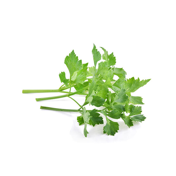 Celery Baby Leaf Seeds