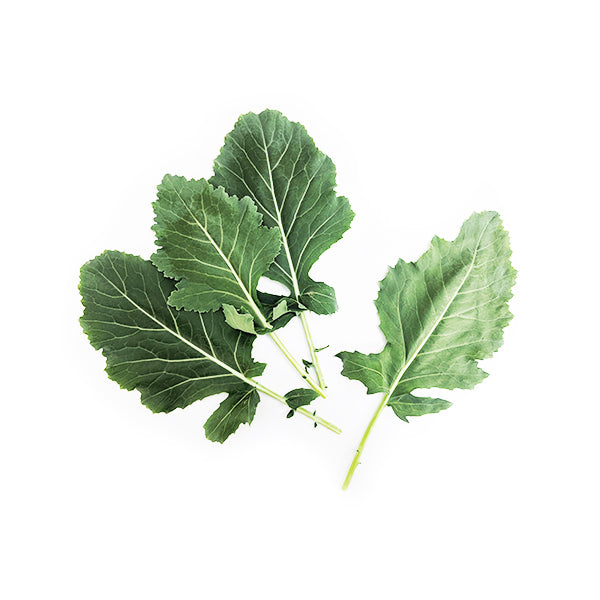 Kohlrabi Green Baby Leaf Seeds