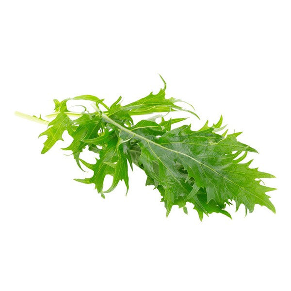 Mizuna Baby Leaf Seeds