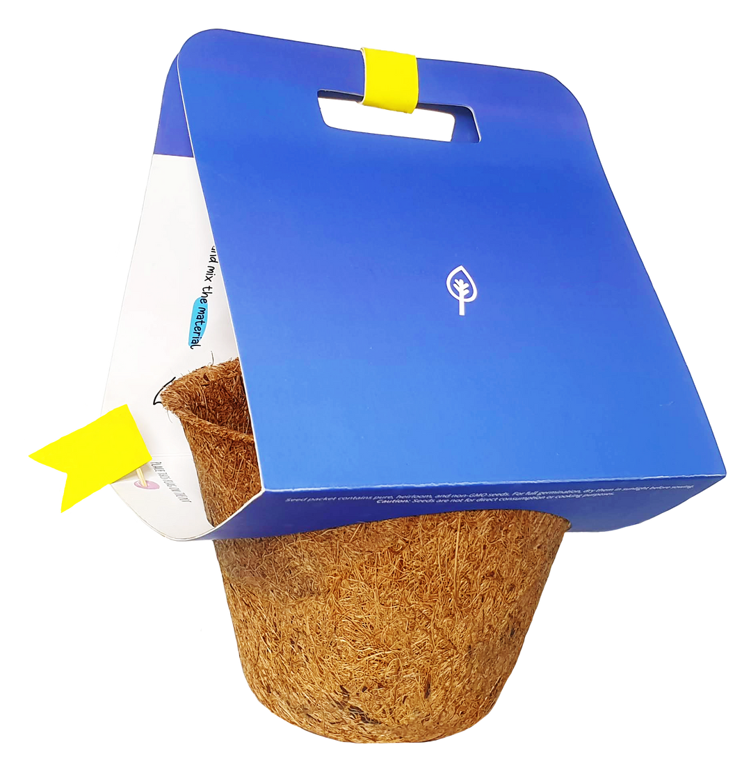 Custom Grow Kit for Kids
