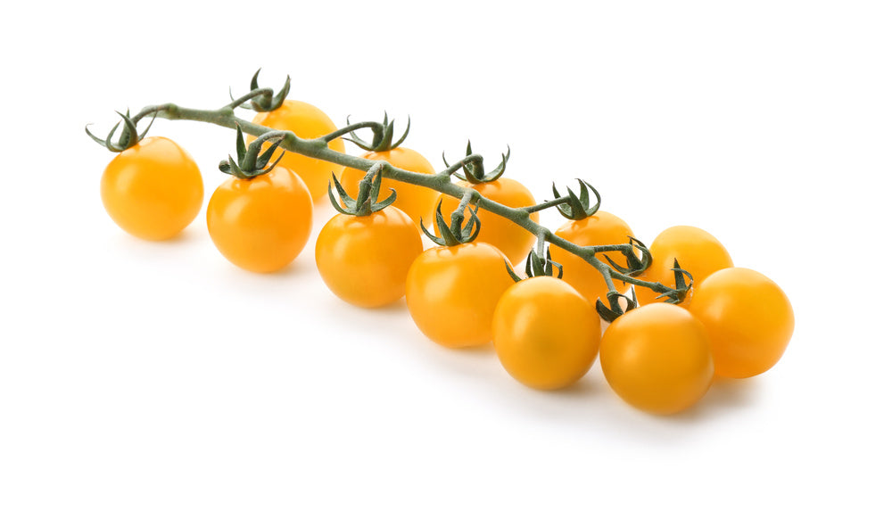 Cherry Tomato Yellow Seeds