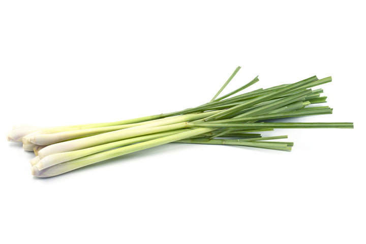 Lemongrass Seeds