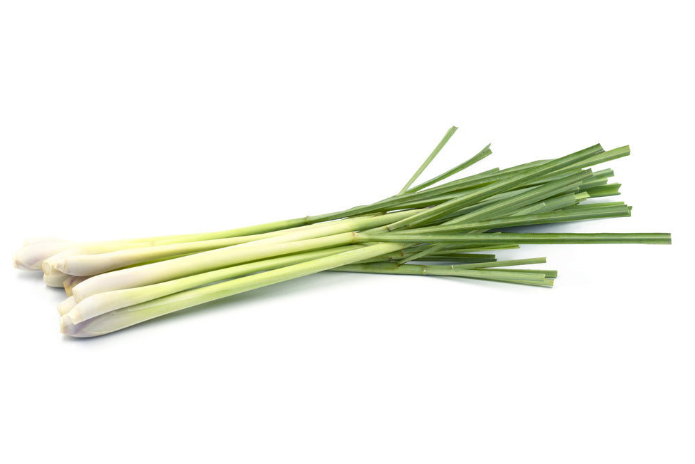 Shop lemongrass growing supplies