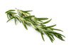 Rosemary Seeds
