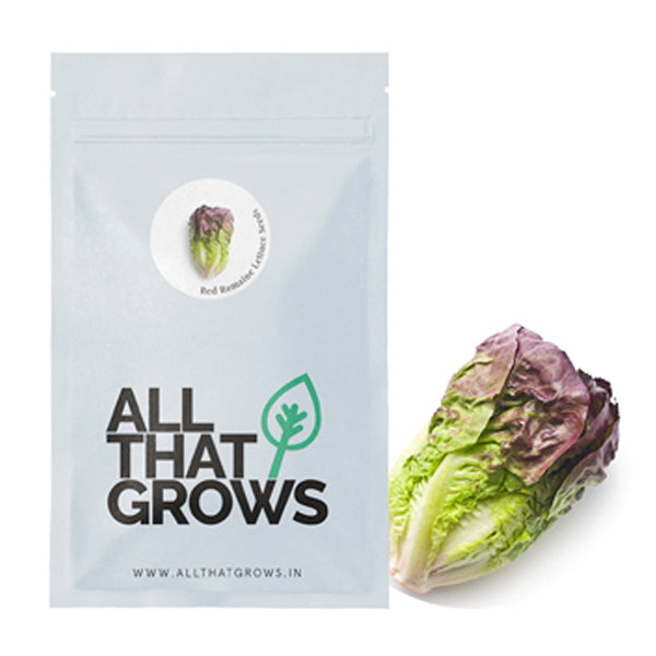 Red Romaine Lettuce Seeds