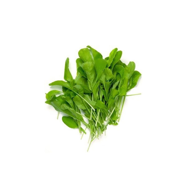 Spinach Microgreens